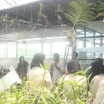Mahasiswi Biologi FMIPA IST Annuqayah Kunjungi Lab Orchidologi FMIPA UNISMA